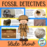 What Fossils Tell Us Fossil evidence PowerPoint slideshow 