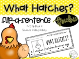 What Hatches? Flip-A-Sentence {FREEBIE}