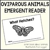 What Hatches? Minibook | Oviparous Animals Emergent Reader