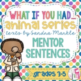 What If You Had Series Mentor Sentences & Interactive Acti