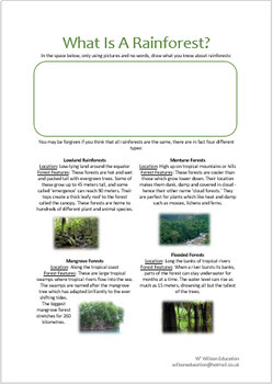 Rainforests (With Climate Graphs) by Willson Education | TPT