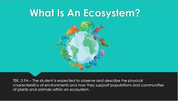Preview of What Is An Ecosystem? - Life Science - Interactive PowerPoint