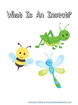 Preview of What Is An Insect? Book on insect characteristics