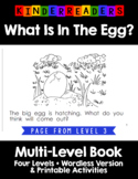 What Is In The Egg? Multilevel KinderReaders Book for Begi