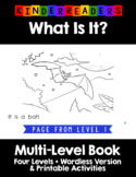 What Is It - Bats - Reproducible Multi-Leveled Guided Read