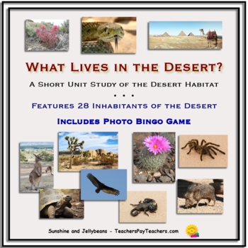 Desert Animals And Plants Unit Teaching Resources | TPT