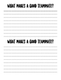 What Makes a Good Teammate?