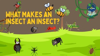 Preview of What Makes an Insect PDF Lesson Presentation – K7, L2 2nd Grade CKLA, Amplify