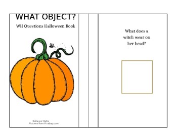 Preview of What OBJECT? A WH Questions-Halloween Edition Adapted Book (ABLLS-R Aligned)