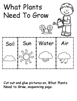 What Plants Need To Grow by Debbi Grimes | Teachers Pay Teachers