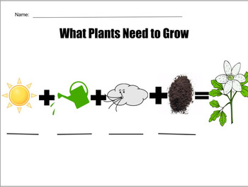Preview of What Plants Need to Grow