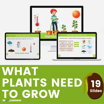 Preview of What Plants Need to Grow Digital Resources (for preschool, pre-k, and kinder)