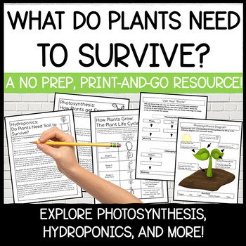 Preview of What Plants Need to Survive | Hydroponics, Photosynthesis, Plant Life Cycle
