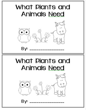 Preview of What Plants and Animals Need