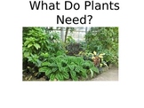 What Plants and Animals Need to Survive