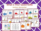 What Questions; Communication; Speech; Autism; Nonverbal; Special Education