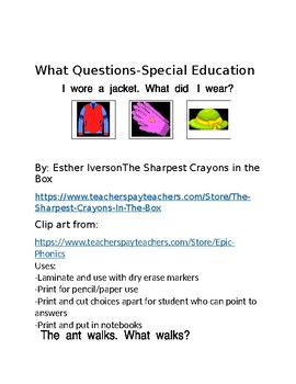 Preview of What Questions-Special Education