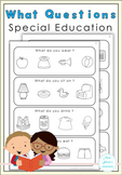 What Questions for Special Education Plus Powerpoint Game