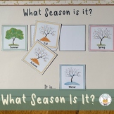 What Season Is It? Learning about Seasons Activity