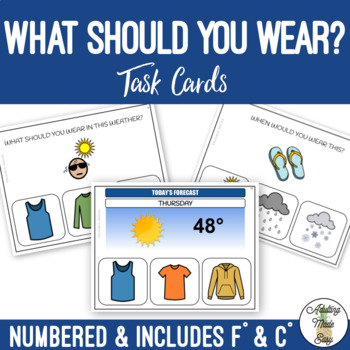 Preview of What Should You Wear? Task Cards SS