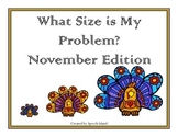 What Size is my Problem: November Edition