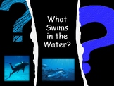 What Swims in the Water .PDF book and learning activities 