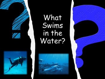 Preview of What Swims in the Water and learning activities (secular version)