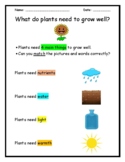 What & Why do plants need to grow well? PowerPoint + Hando