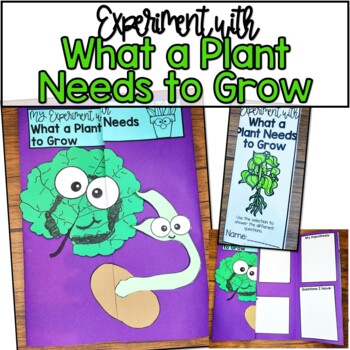 What a Plant Needs to Grow | HMH Into Reading | 2nd Grade | Module 8 ...