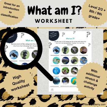 Preview of What am I? Animal Classification Worksheet