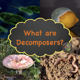 What are Decomposer Nonfiction Text and Activities