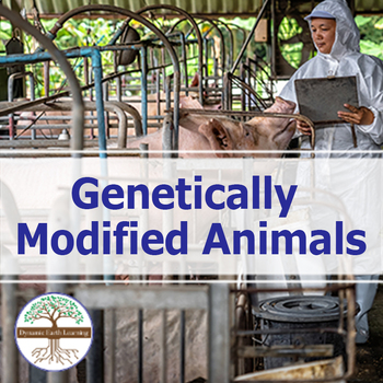 What are Genetically Modified Animals? - Earth Science Worksheet (PDF &  Google)