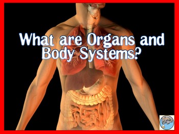 Preview of What are Organs and Body Systems PowerPoint and Interactive Student Notes
