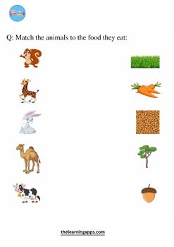 What Are Herbivores? Printable Worksheets by The Learning Apps | TPT