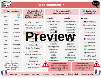 Preview of What are you like? - Chat Mat (French)