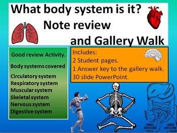 Preview of What body system is it review and Gallery Walk.