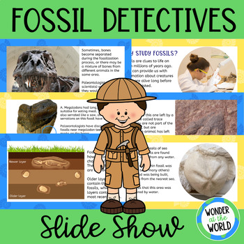 What can fossils tell us? Google Slides presentation by Wonder at the World