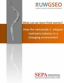Preview of What can we learn from worms? Maintaining balance in a changing environment