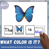 What color is it? Sentence Building Activity Adapted Book 