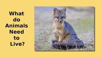 What do Animals Need to Live? Kindergarten Science NGSS K-LS1-1 PowerPoint