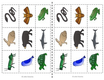 What do I eat? Herbivore, Omnivore, Carnivore Sort by Little Victories