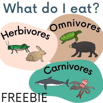 Preview of What do I eat? Herbivore, Omnivore, Carnivore Sort