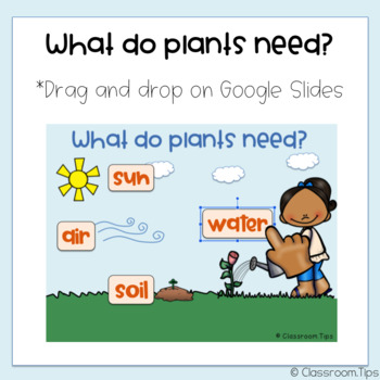 Preview of What do Plants Need? (Distance Learning - Google Classroom)