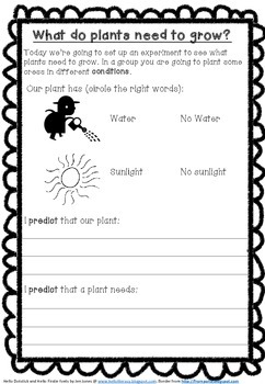 what do plants need experiment worksheet by nathalie