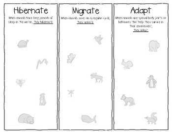 Preview of What do animals do in winter? Hibernate, Migrate, Adapt - PreK Toddler