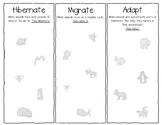 What do animals do in winter? Hibernate, Migrate, Adapt - 