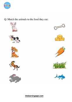 What Do Animals Eat? Printable Worksheets by The Learning Apps | TPT