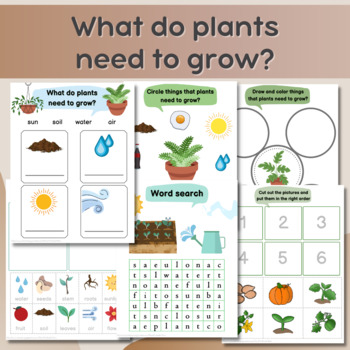 Preview of What do plants need to grow?