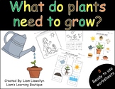 What do plants need to grow - PreK to G2 - Science