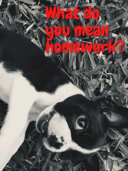 mean do your homework